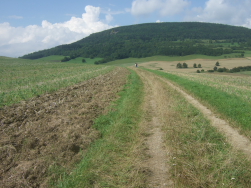 Offene Landschaft