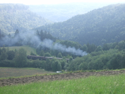 Wieder auf dem richtigen Weg