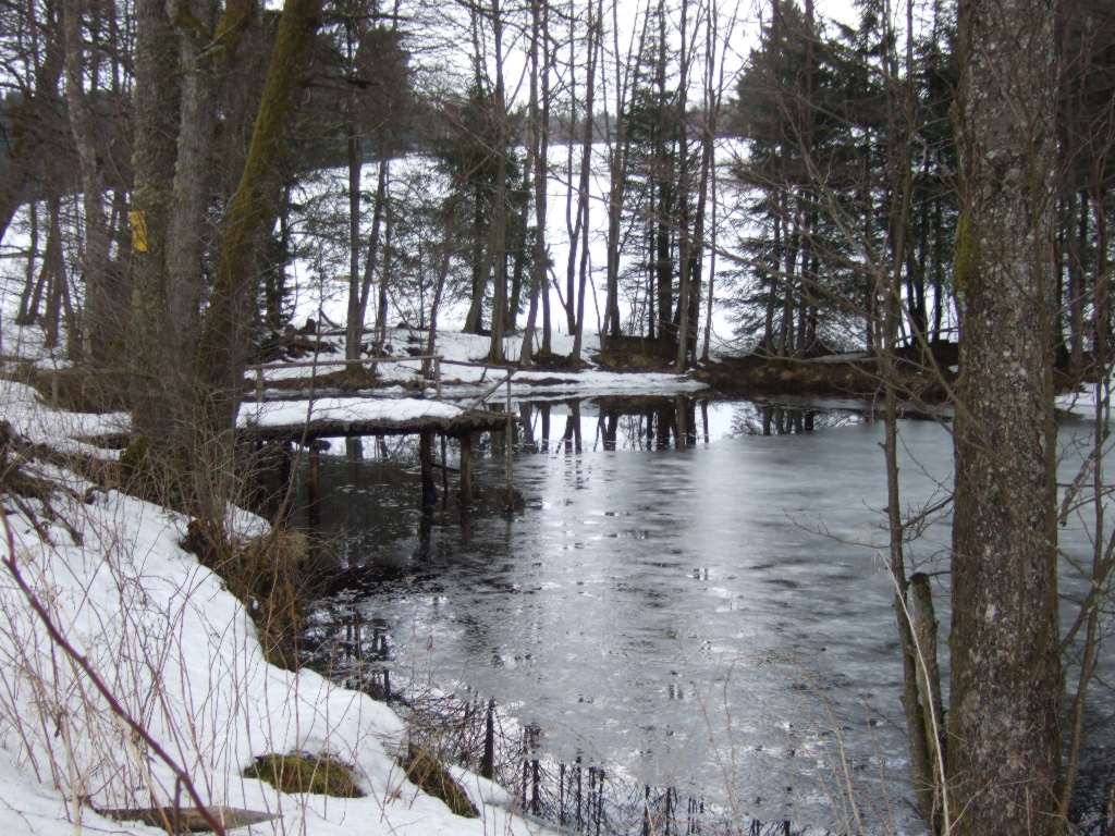 ein kalter Teich am Wegesrand