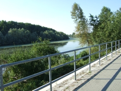 Uferweg in Lampertheim
