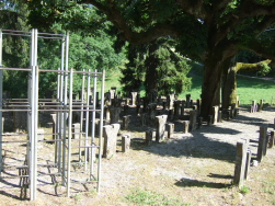 Friedhof der Picknickbnke