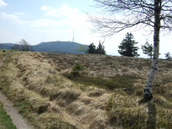 Hochkopfmoor mit Blick auf den Sender Hornisgrinde