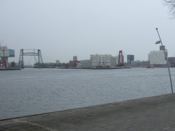 die Skyline von Rotterdam