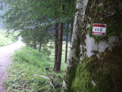 die 460 zum Zwieselberg